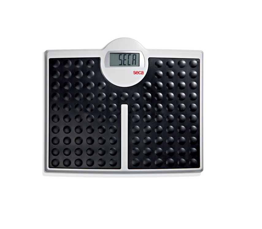 Seca 813 Floor Scale for Adults