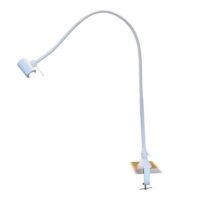 Examination LED light x100