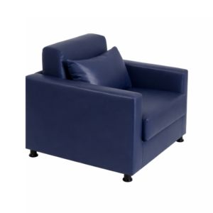 Medicare Daybed Visitor Chair