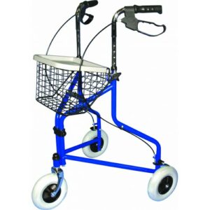 Tri-Wheeler with basket